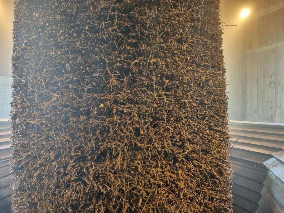 Ferienwohnung Direkt Am Kurpark Mit Gradierwerk Solestadt Bad Dürrenberg Εξωτερικό φωτογραφία